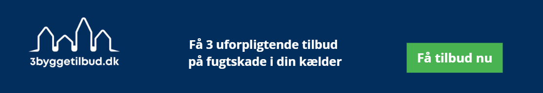 fugt i kælderrum