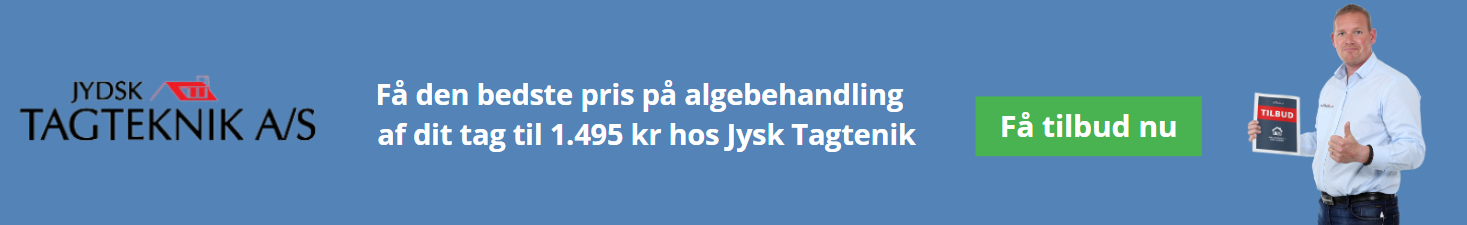 algebehandling tag tilbud