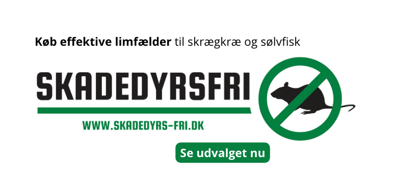 Limfælder til skrægkræ